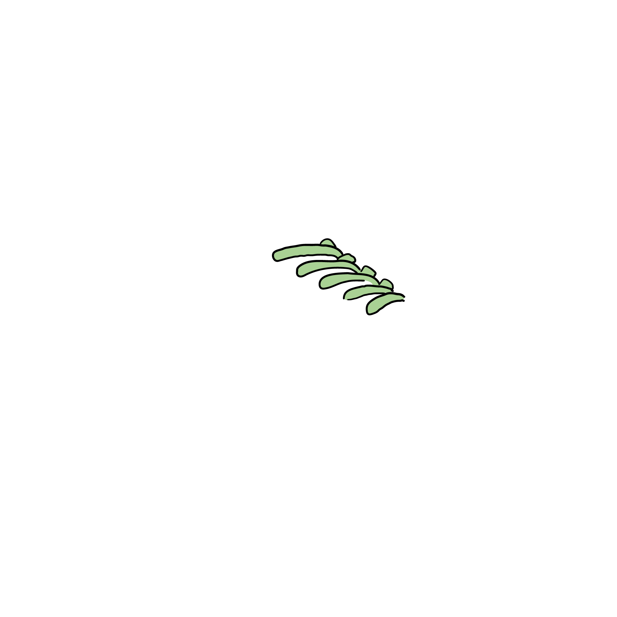 Item-RGB-Trainer-sections_Laces C