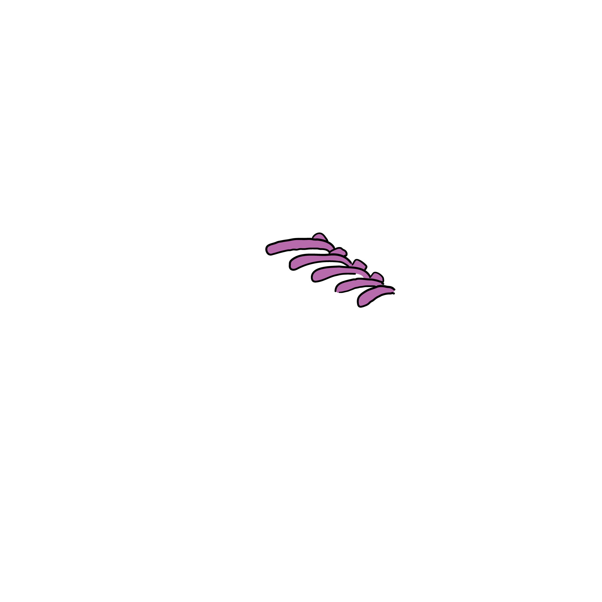 Item-RGB-Trainer-sections_Laces D