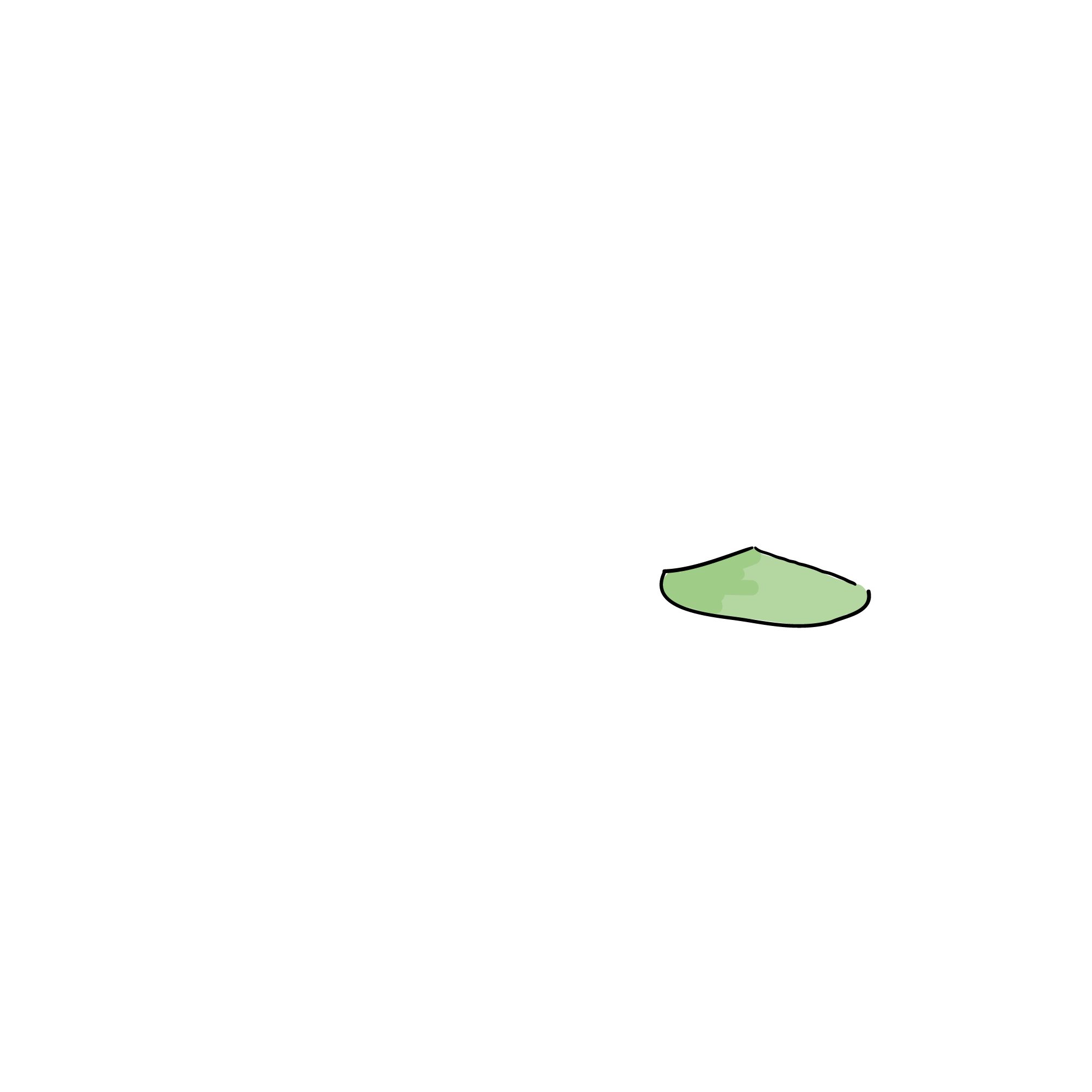 Item-RGB-Trainer-sections_Toe B